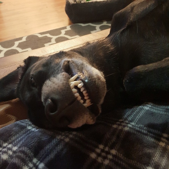 Meet your Posher, Tim - Picture 1 of 1